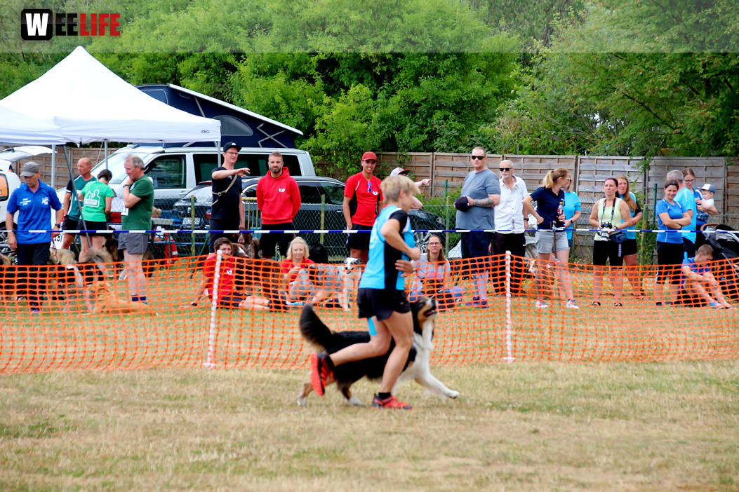 Bayerische Meisterschaft im Turnierhundesport