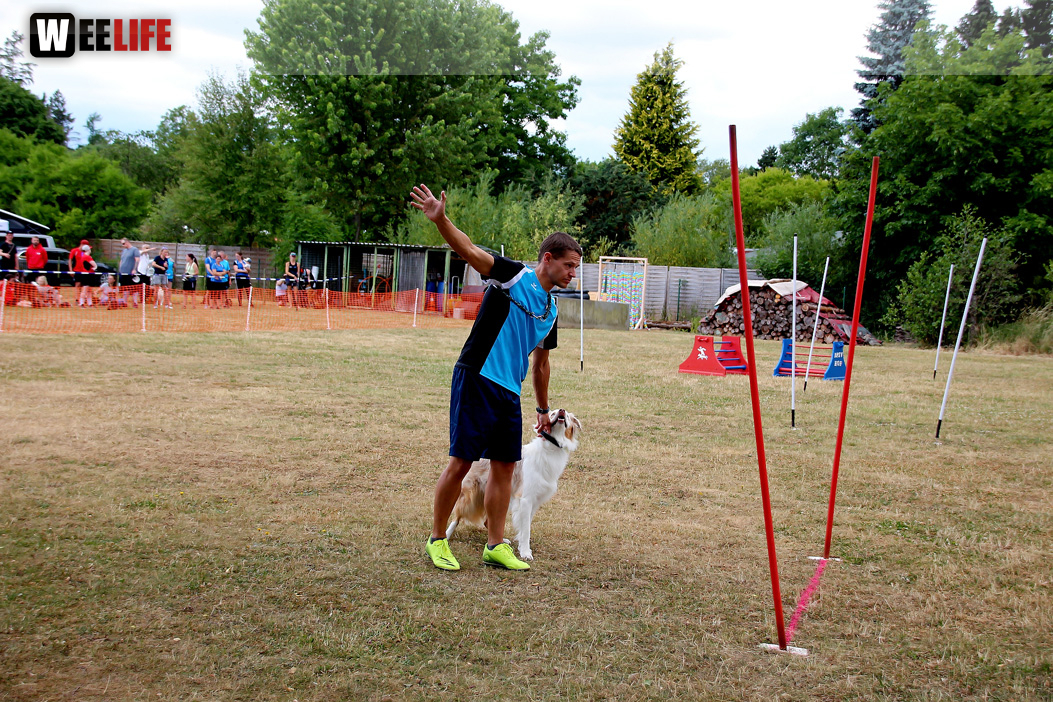Bayerische Meisterschaft im Turnierhundesport