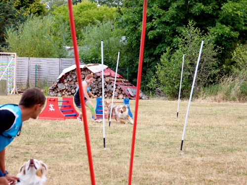 Bayerische Meisterschaft im Turnierhundesport – Foto 25