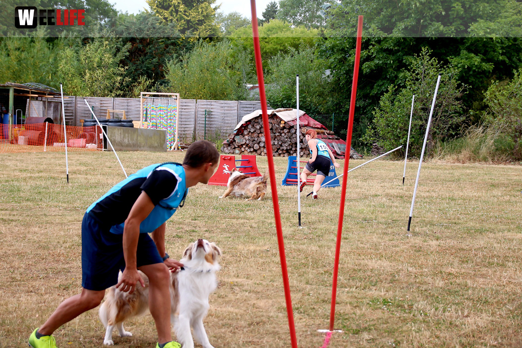 Bayerische Meisterschaft im Turnierhundesport