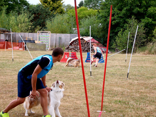 Bayerische Meisterschaft im Turnierhundesport – Foto 26
