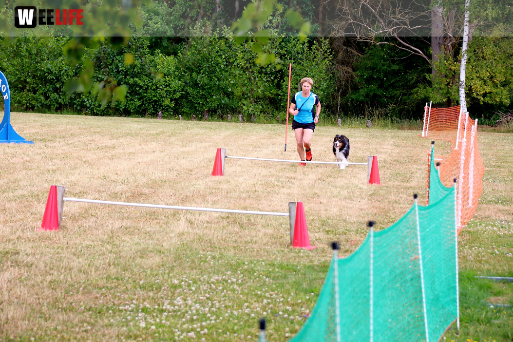 Bayerische Meisterschaft im Turnierhundesport