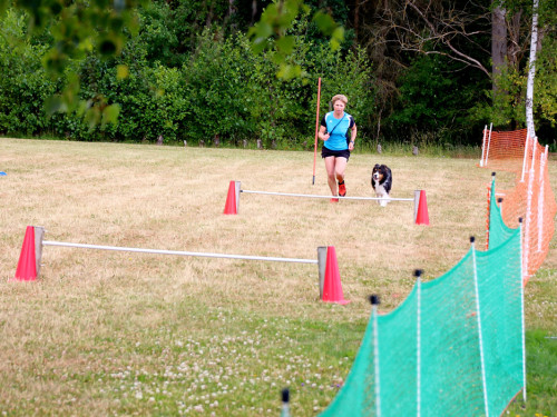 Bayerische Meisterschaft im Turnierhundesport – Foto 28