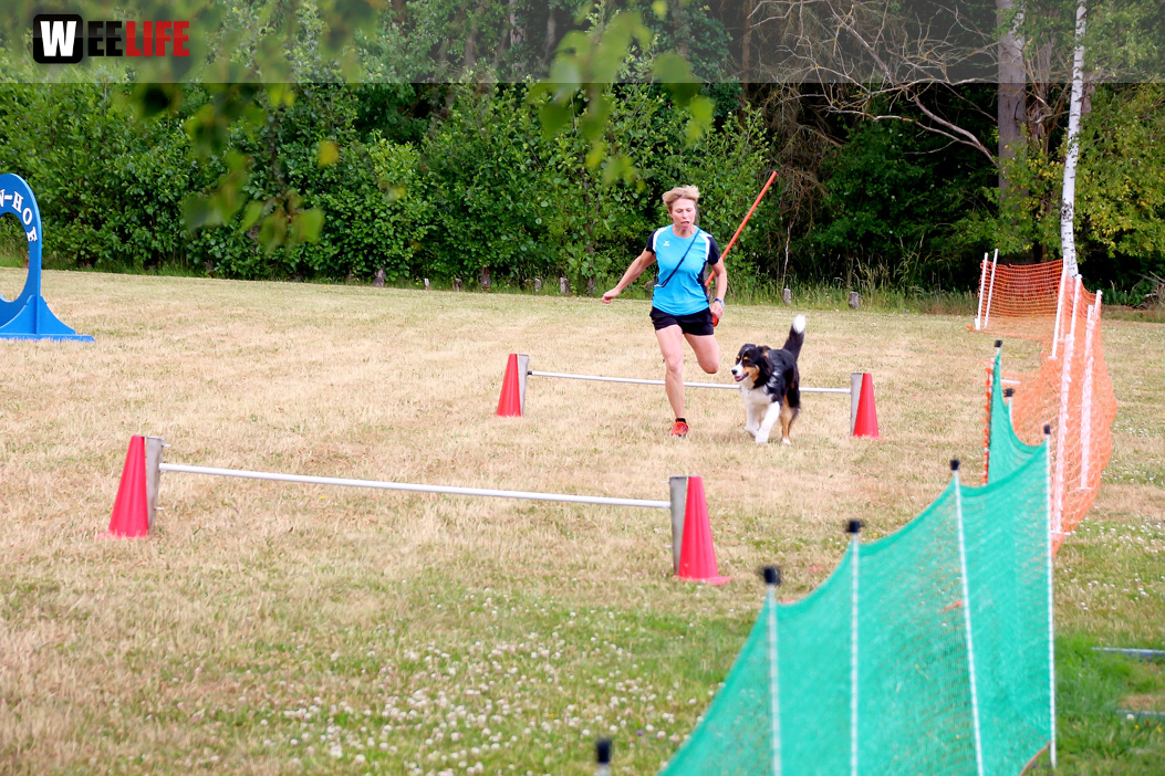 Bayerische Meisterschaft im Turnierhundesport