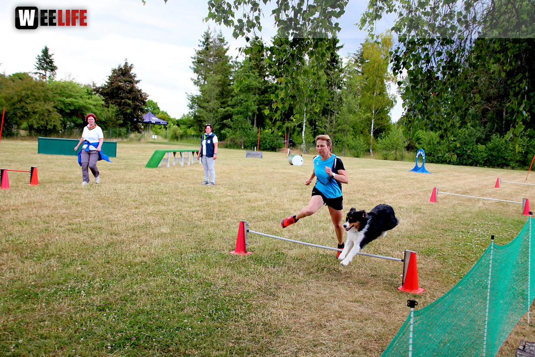 Bayerische Meisterschaft im Turnierhundesport