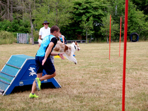 Bayerische Meisterschaft im Turnierhundesport – Foto 31