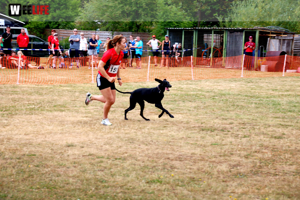 Bayerische Meisterschaft im Turnierhundesport