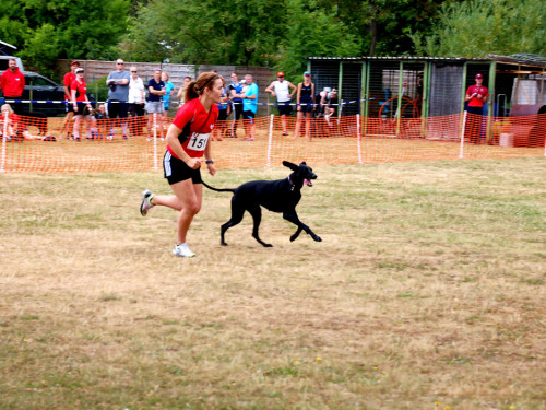 Bayerische Meisterschaft im Turnierhundesport – Foto 32