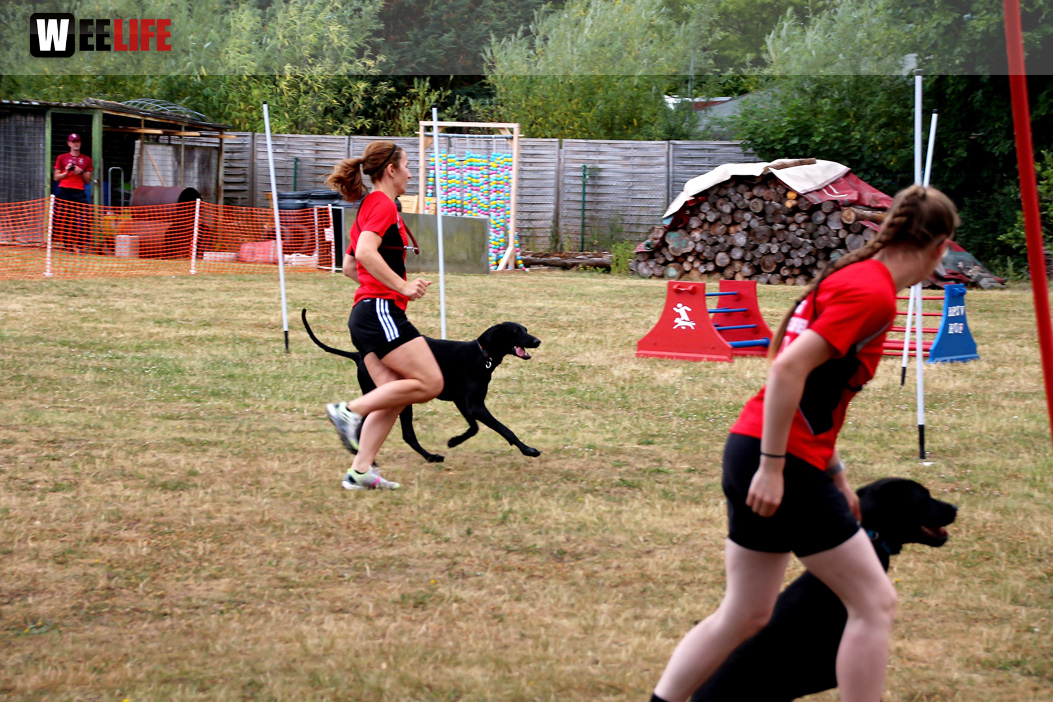 Bayerische Meisterschaft im Turnierhundesport