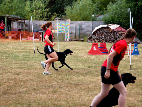 Bayerische Meisterschaft im Turnierhundesport – Foto 33