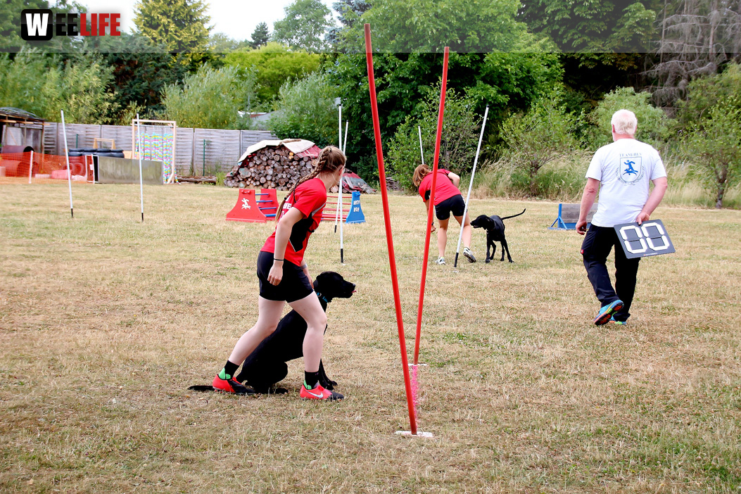 Bayerische Meisterschaft im Turnierhundesport