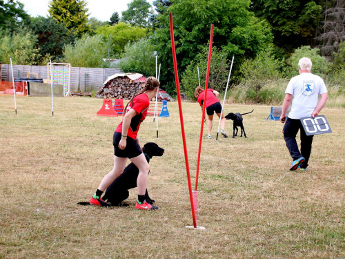 Bayerische Meisterschaft im Turnierhundesport – Foto 34