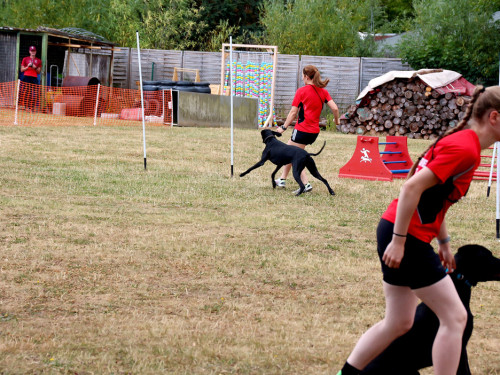 Bayerische Meisterschaft im Turnierhundesport – Foto 35
