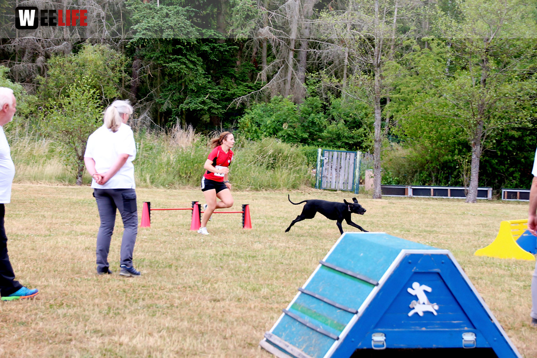 Bayerische Meisterschaft im Turnierhundesport