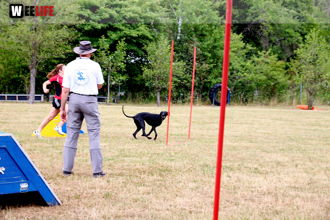 Bayerische Meisterschaft im Turnierhundesport