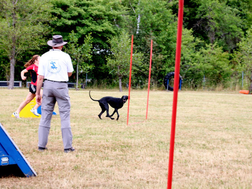 Bayerische Meisterschaft im Turnierhundesport – Foto 37