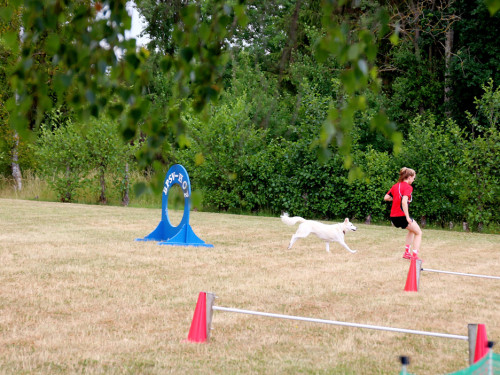 Bayerische Meisterschaft im Turnierhundesport – Foto 38