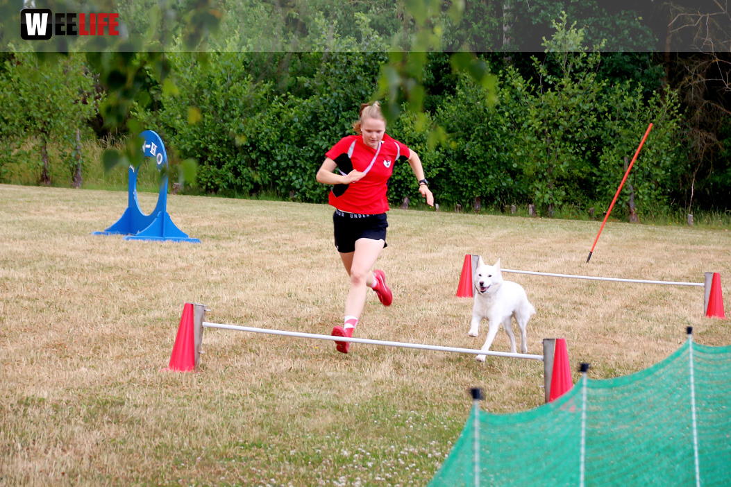 Bayerische Meisterschaft im Turnierhundesport