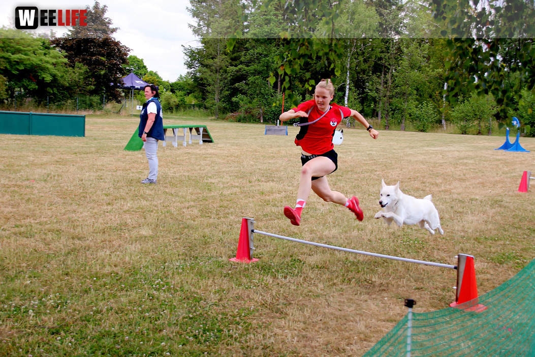 Bayerische Meisterschaft im Turnierhundesport
