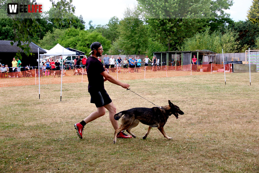 Bayerische Meisterschaft im Turnierhundesport