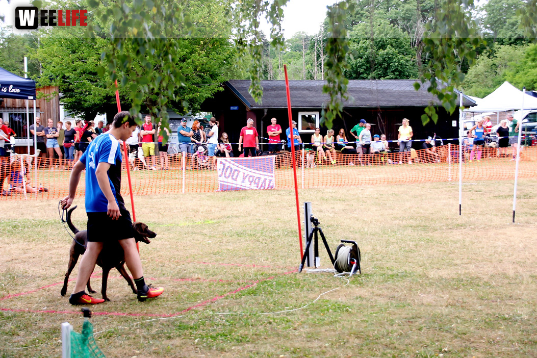 Bayerische Meisterschaft im Turnierhundesport