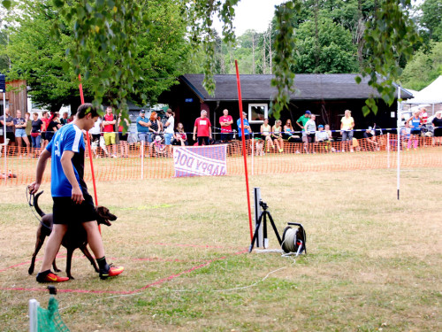 Bayerische Meisterschaft im Turnierhundesport – Foto 43