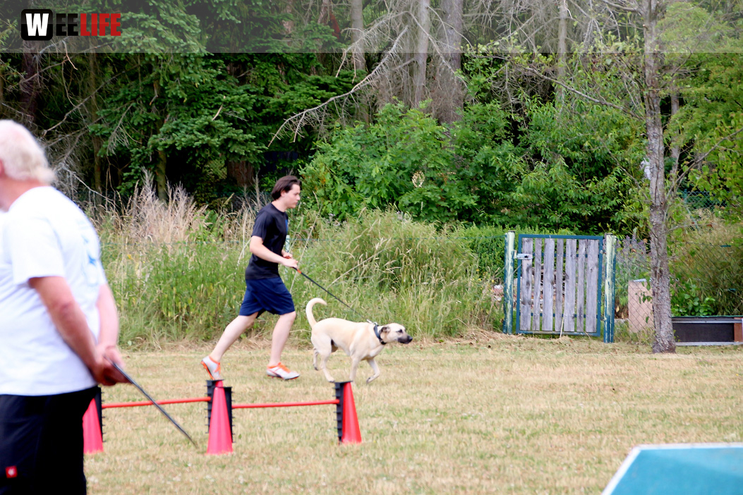 Bayerische Meisterschaft im Turnierhundesport