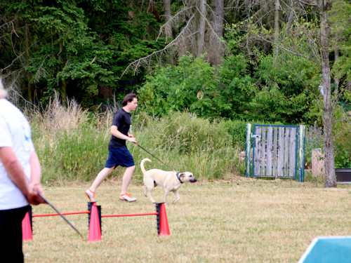 Bayerische Meisterschaft im Turnierhundesport – Foto 44
