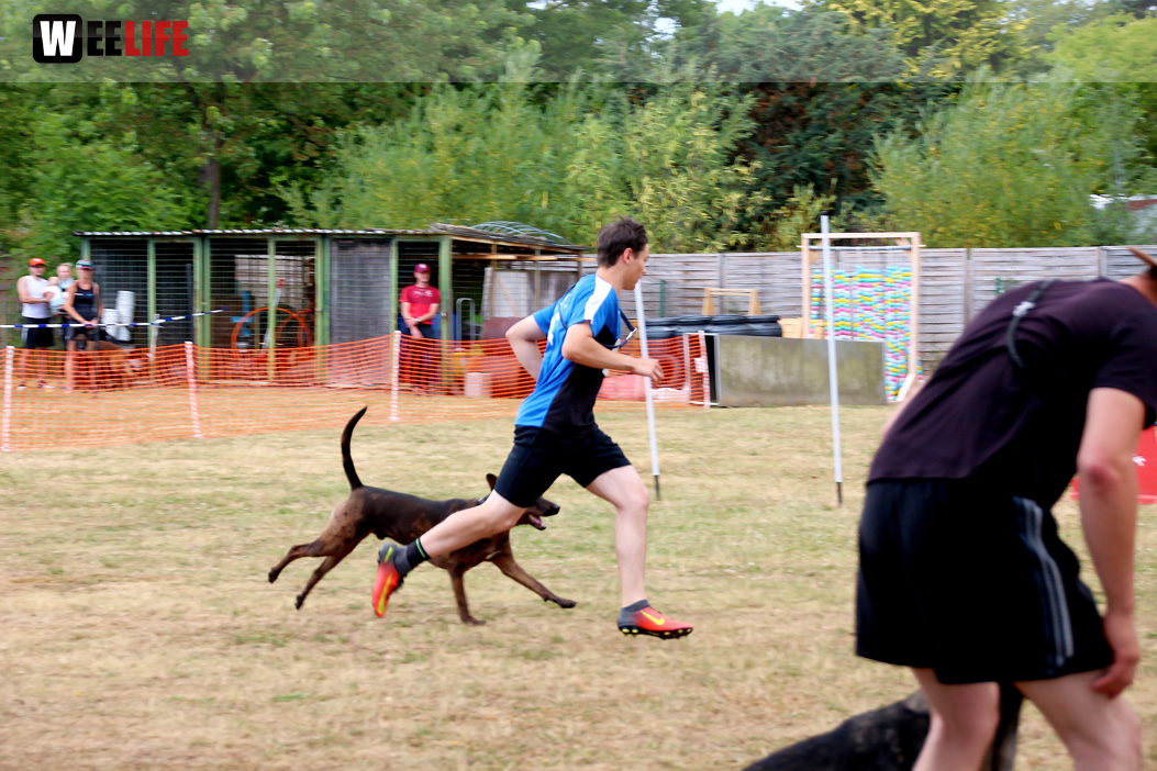 Bayerische Meisterschaft im Turnierhundesport