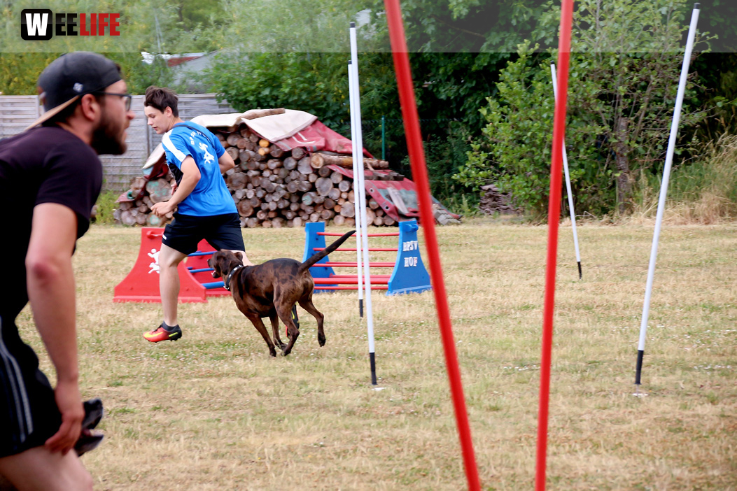 Bayerische Meisterschaft im Turnierhundesport