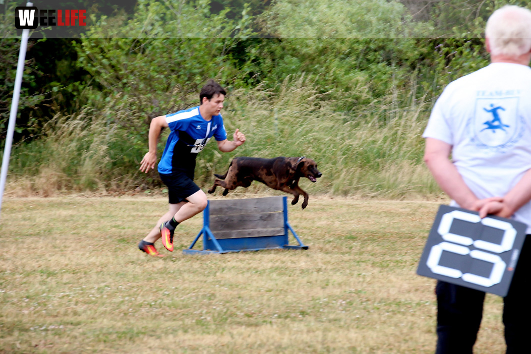 Bayerische Meisterschaft im Turnierhundesport