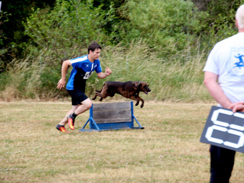 Bayerische Meisterschaft im Turnierhundesport – Foto 49