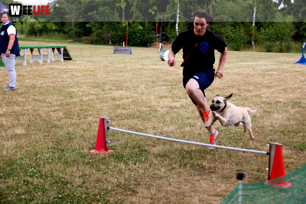 Bayerische Meisterschaft im Turnierhundesport