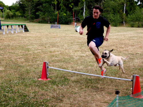 Bayerische Meisterschaft im Turnierhundesport – Foto 50