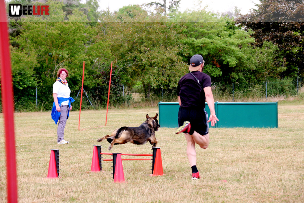 Bayerische Meisterschaft im Turnierhundesport