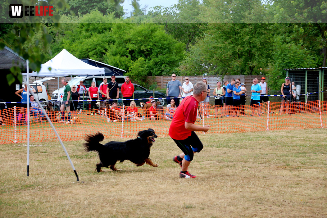 Bayerische Meisterschaft im Turnierhundesport