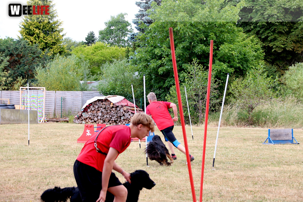 Bayerische Meisterschaft im Turnierhundesport
