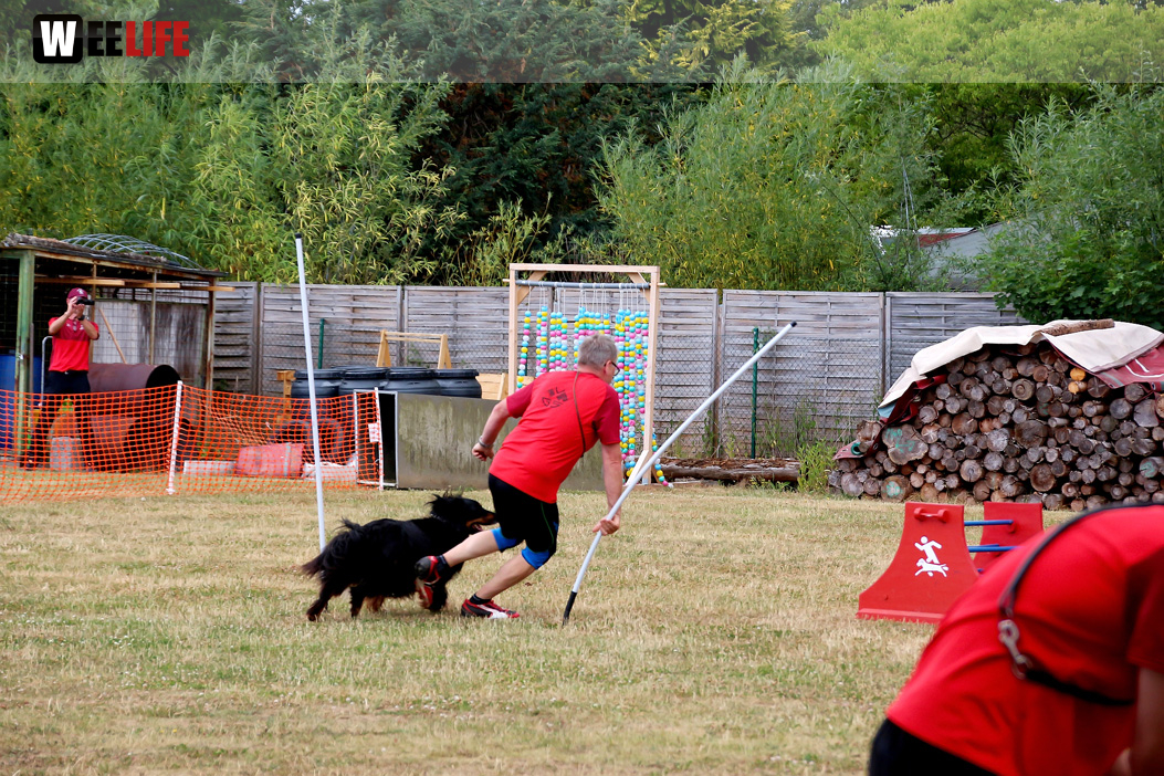 Bayerische Meisterschaft im Turnierhundesport