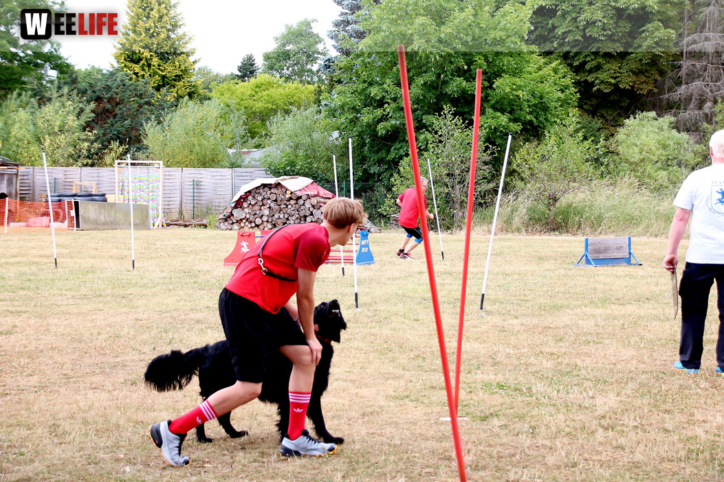 Bayerische Meisterschaft im Turnierhundesport
