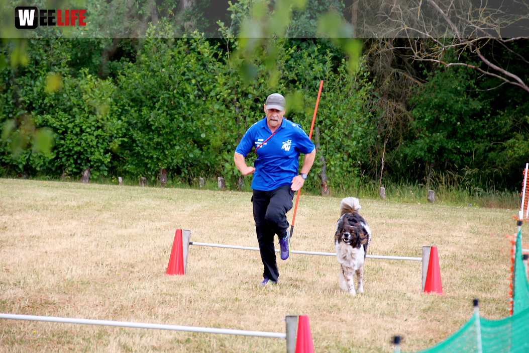 Bayerische Meisterschaft im Turnierhundesport