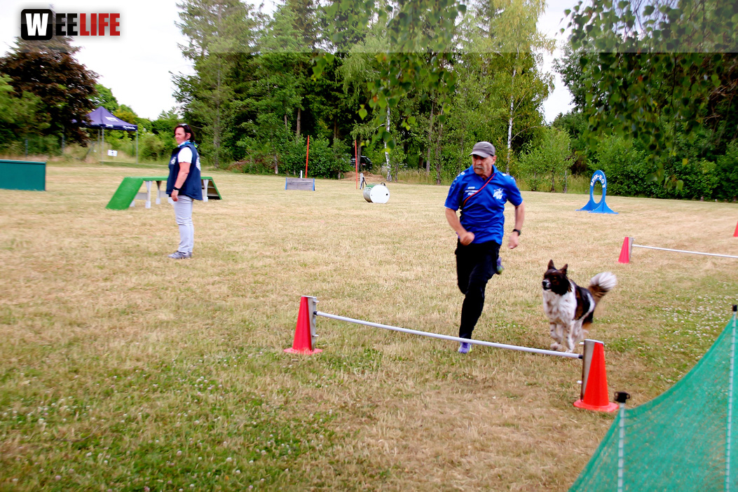 Bayerische Meisterschaft im Turnierhundesport