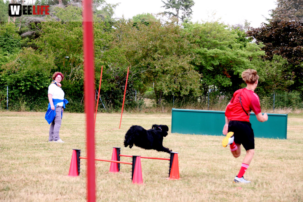 Bayerische Meisterschaft im Turnierhundesport