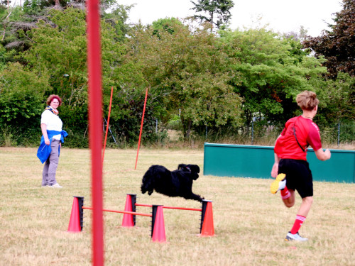 Bayerische Meisterschaft im Turnierhundesport – Foto 62