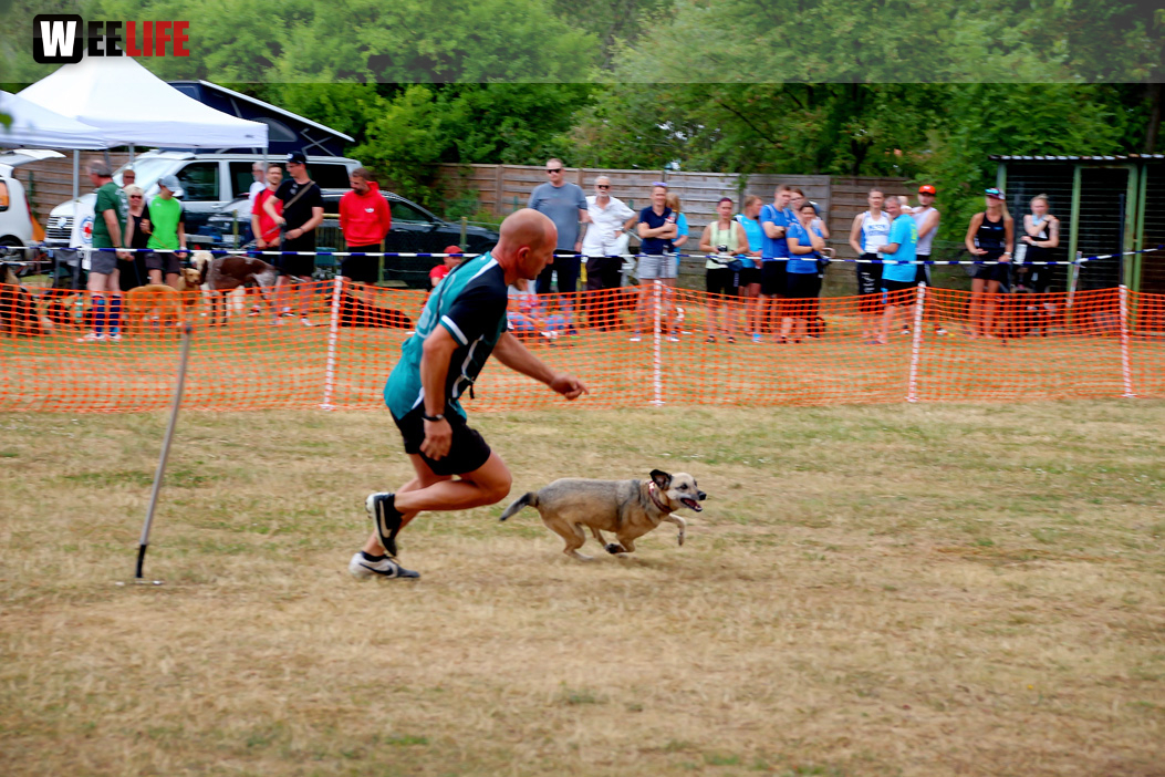 Bayerische Meisterschaft im Turnierhundesport