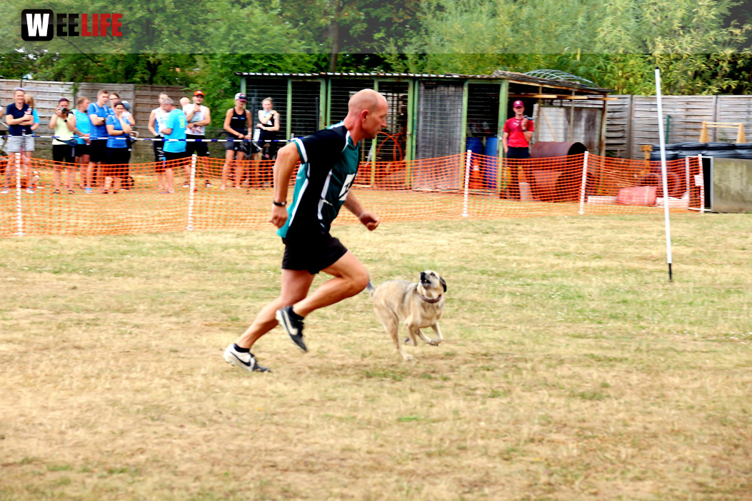 Bayerische Meisterschaft im Turnierhundesport