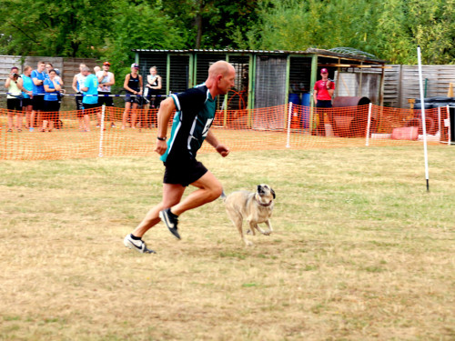 Bayerische Meisterschaft im Turnierhundesport – Foto 64