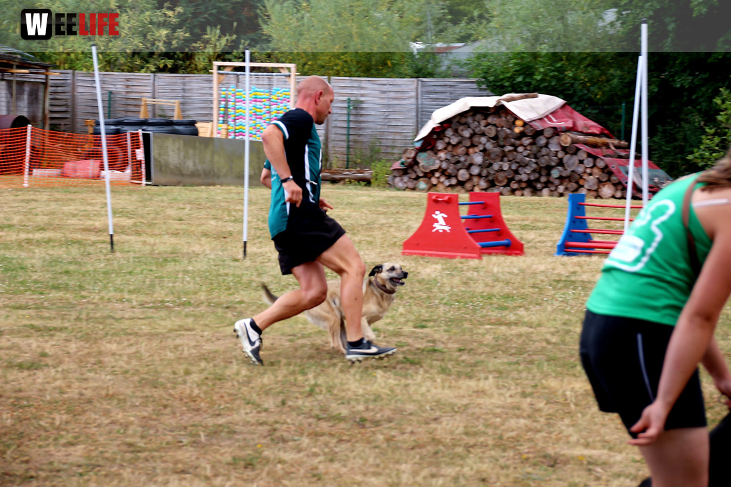 Bayerische Meisterschaft im Turnierhundesport