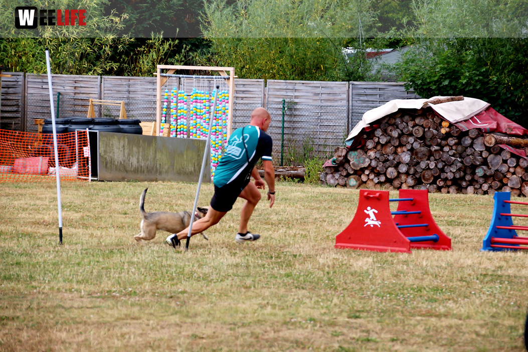 Bayerische Meisterschaft im Turnierhundesport