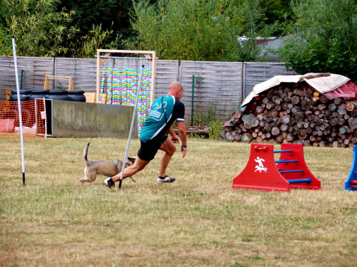 Bayerische Meisterschaft im Turnierhundesport – Foto 66