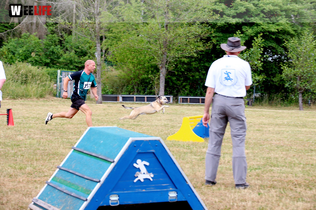 Bayerische Meisterschaft im Turnierhundesport